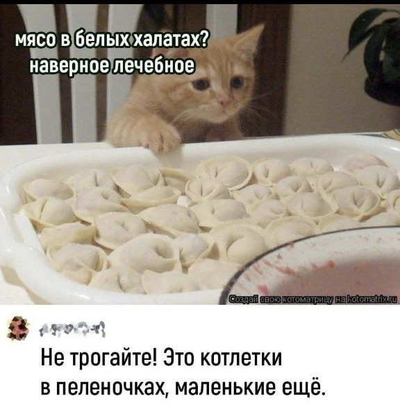 Так себе картинки 31.12.25