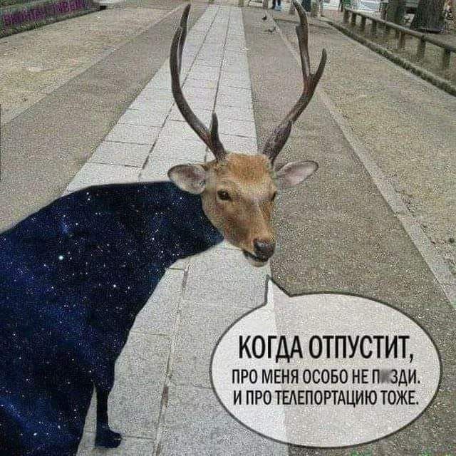 Человек-лепешка