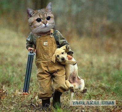 Ты не пройдешь, собака!