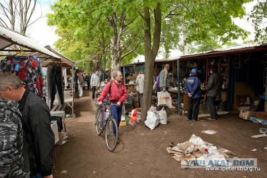 Удельный рынок в Санкт- Петербурге