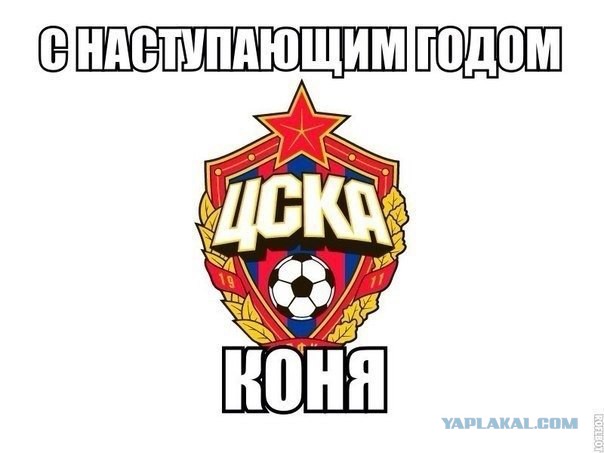 Спорт с улыбкой, интересности в сети