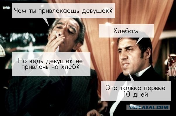 Веселые картинки? а так же комментарии)