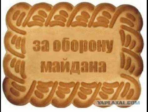 Откровения «Беркута»: на Украине гражданская война