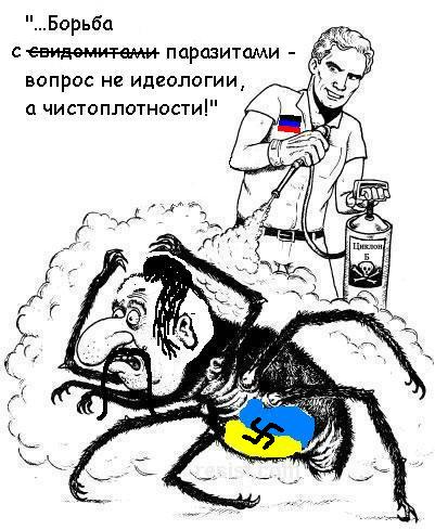 Пока укропы скакали...