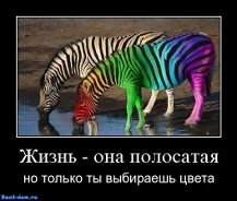 Добряки, плюсующие всех подряд