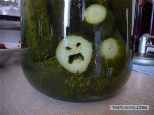 ОНИ повсюду