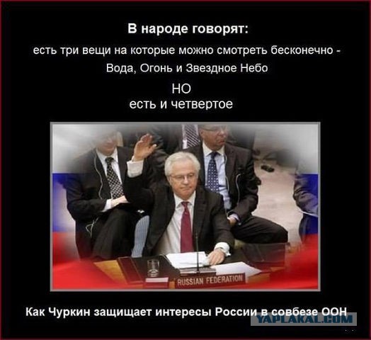 Подборка веселых картинок