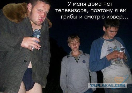 Зомбоящик.