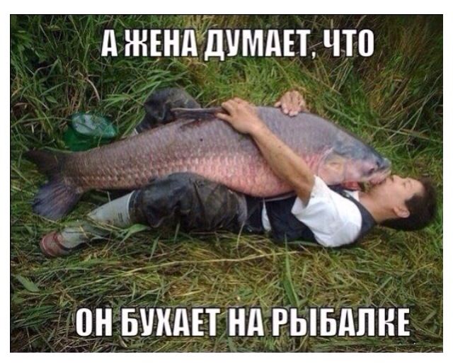 Немного картинок и юмора