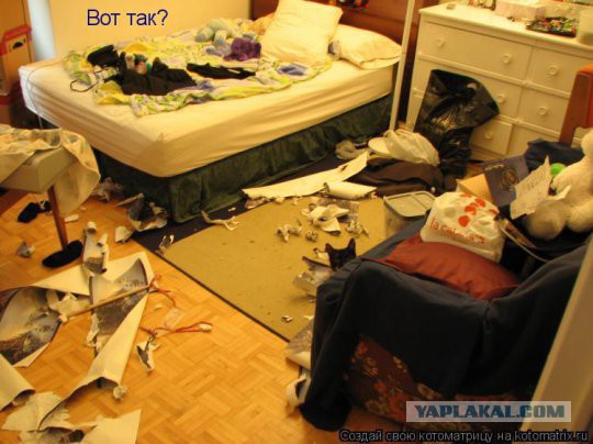 Кошачий Hardcore