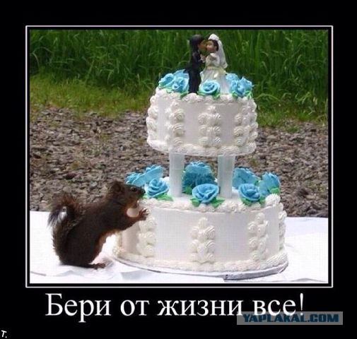 Давно демотиваторов не было