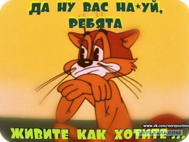 Дурдом