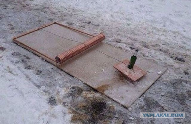 Фотки из инетов