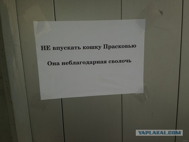 Прикольные картинки и демотиваторы