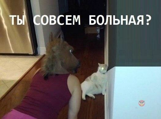 Напугал кошек