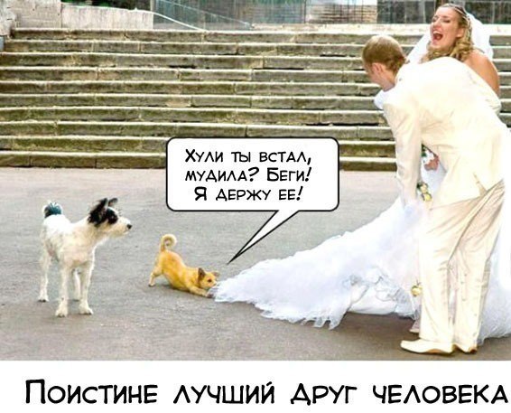 Картинки на пятницу