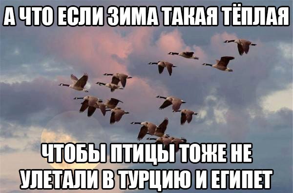 Разные картинки