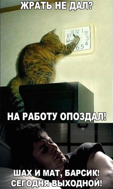 А давайте улыбнёмся В Новом Году