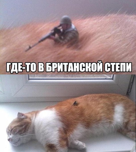 Всяко - разно...картинки