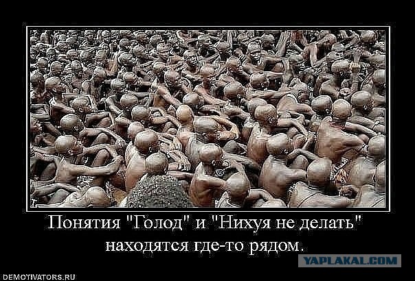 И даже так люди умудряются жить...