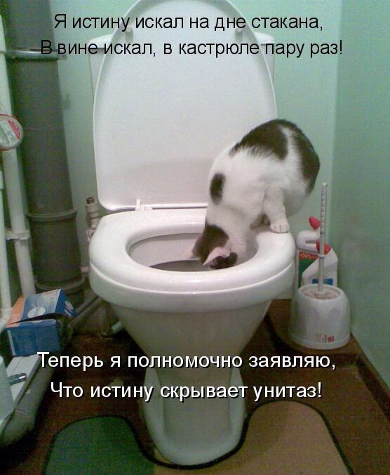 Сегодня я ходил в церковь