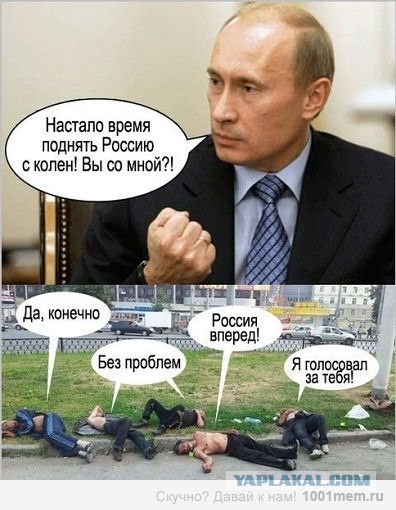 Как не нужно писать о действии алкоголя. Рассказы врача