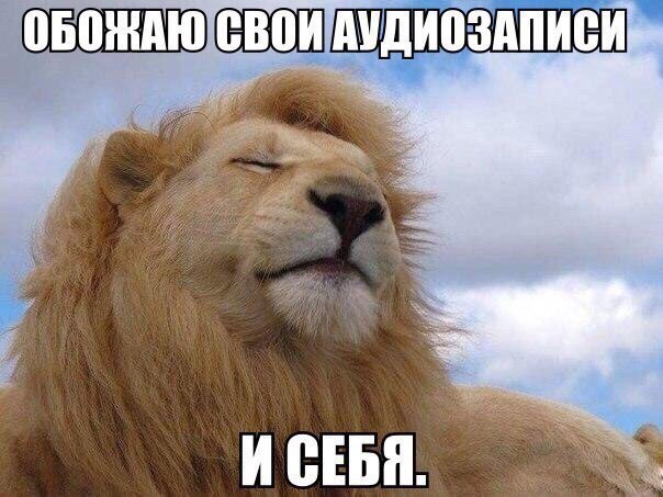 Мохнатые беспредельщики