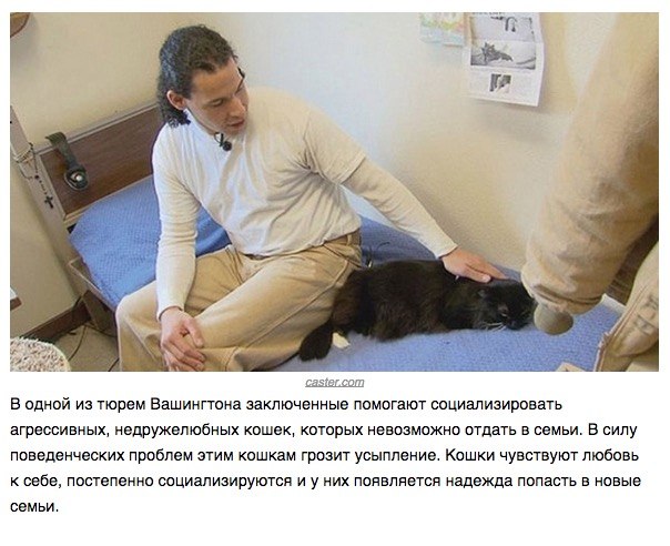 Божьи твари