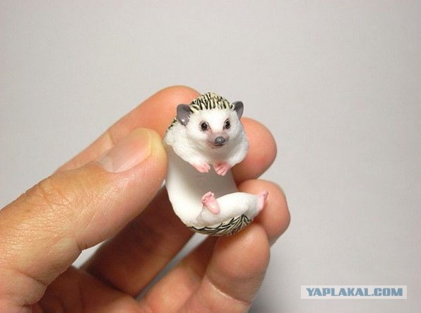 Необычные кольца