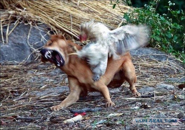 Ребята, давайте жить дружно!