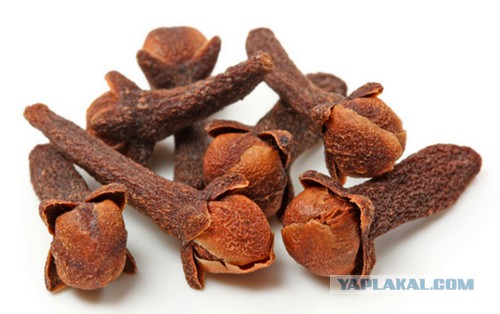 Как сварить идеальный кофе: 10 советов от человека с опытом