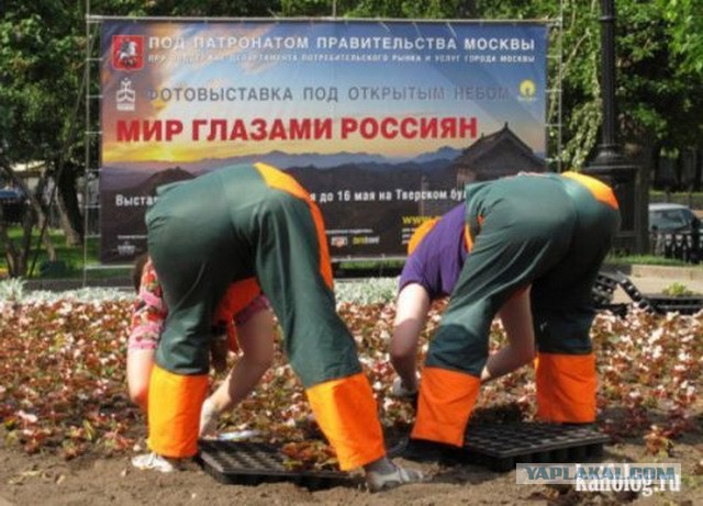 Уличная реклама, которая выносит мозг