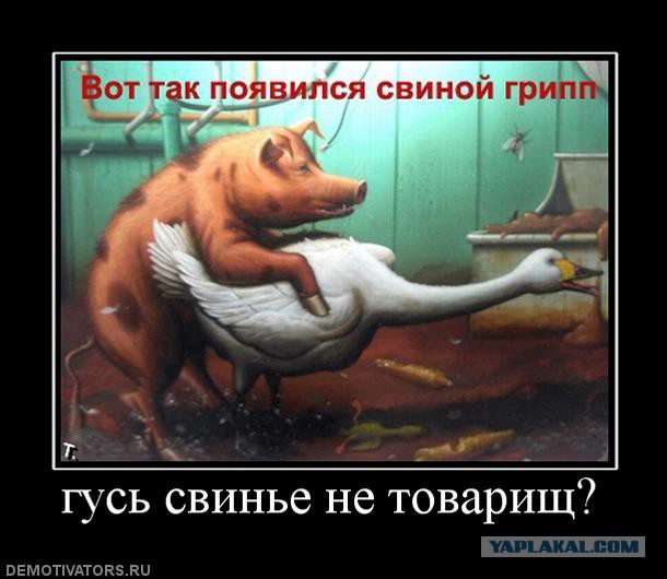 Гендерный срач.