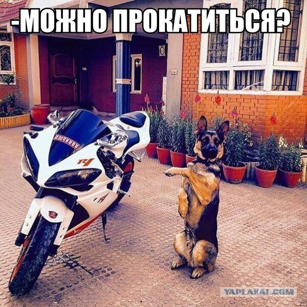 Топ-10 самых дорогих мотоциклов в мире
