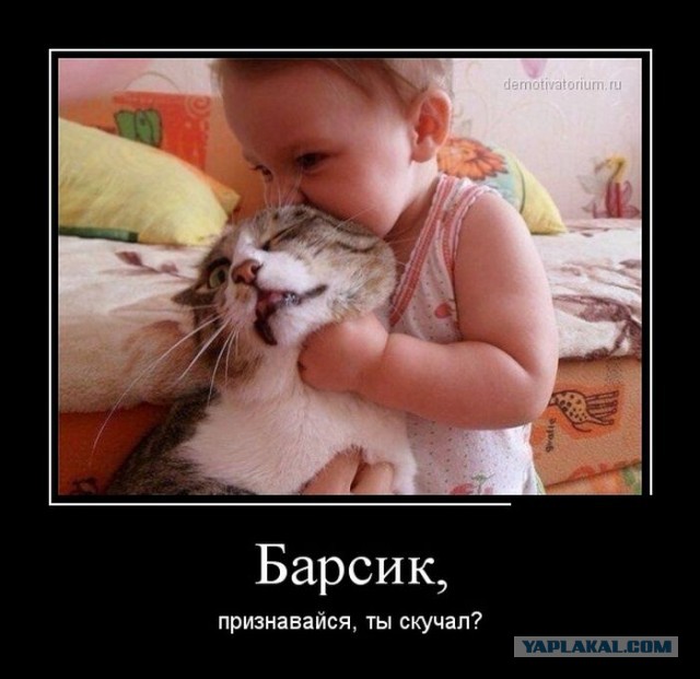 Всех порву, я суровый зверь!