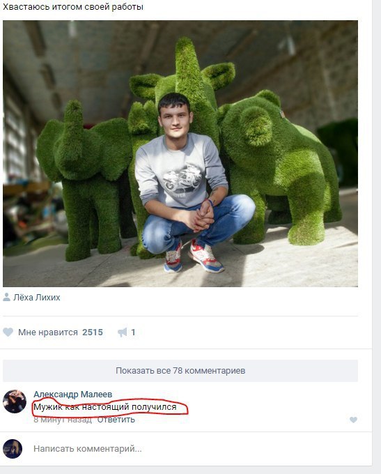 Ужасы и приколы из соцсетей 18+