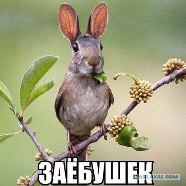 День открытых дверей в палате №6