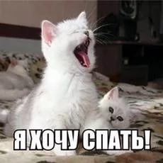Фотоподборка из серии "Я хочу это прямо сейчас!"