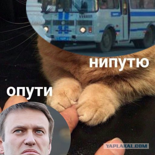 Как Москва готовится к митингу
