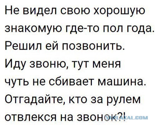 Очередная порция перлов из сети