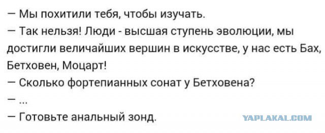 Порция картинок