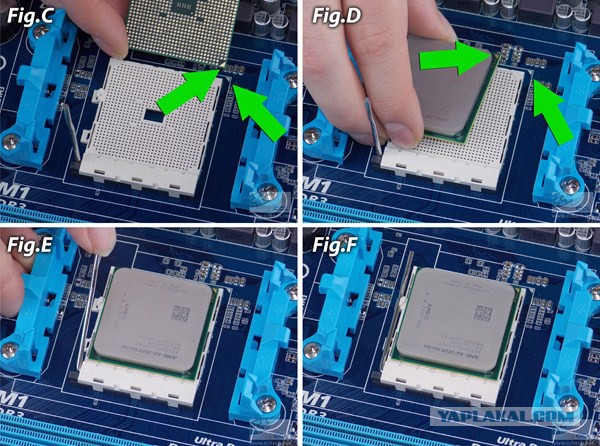 Файл:Socket AM4.png - Википедия