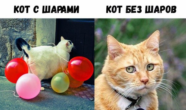 Приколы в стиле "регресс"