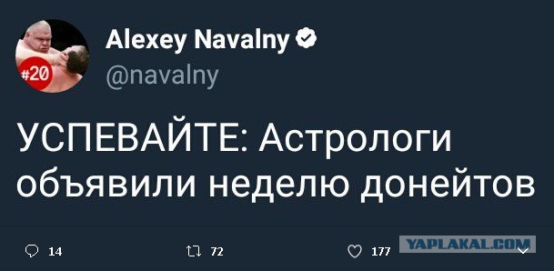 Волонтёр Навального обвинил его в организации рассылок с "умерших" аккаунтов