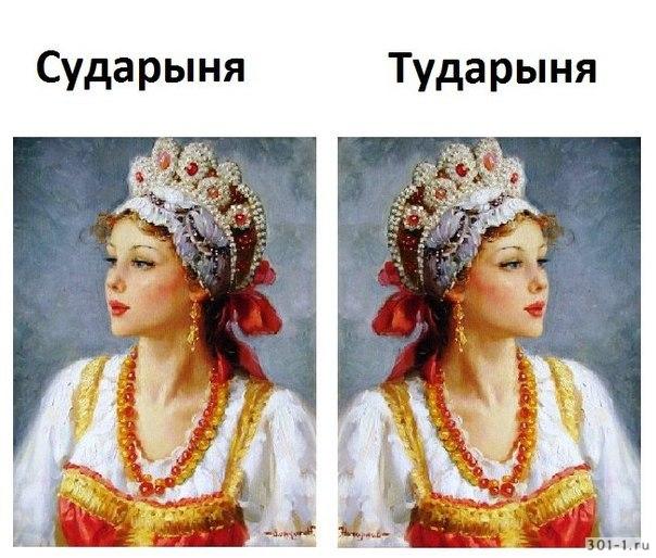 Судак тудак картинка