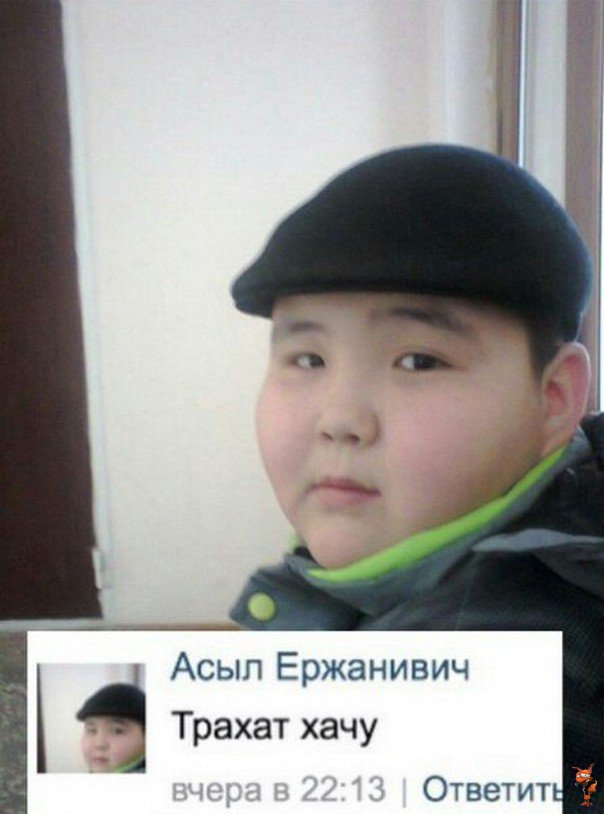 Картинки 146% баяны