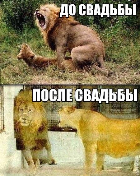 Один совет как стать самой лучшей женой для своего мужа