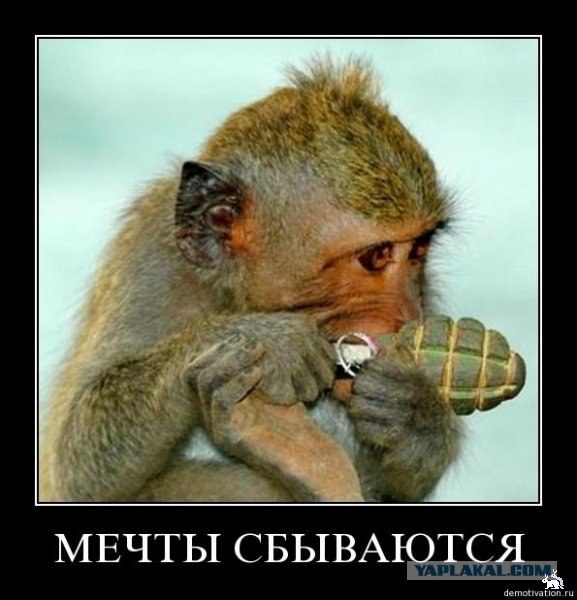 Идиот - паркинг