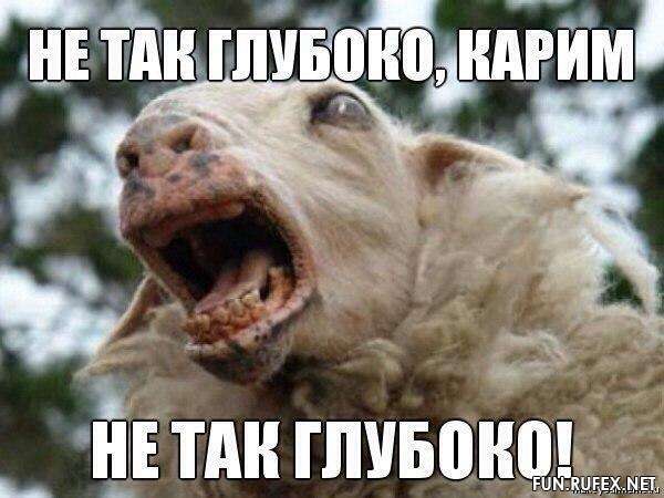 Очередной дерзкий обочечник