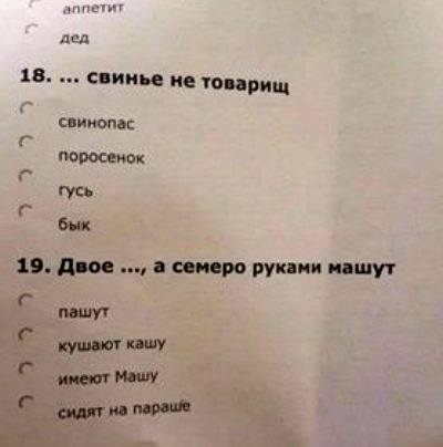 Прикольные картинки